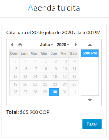 Calendario de agendamiento de cita