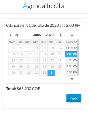 Calendario de agendamiento de cita